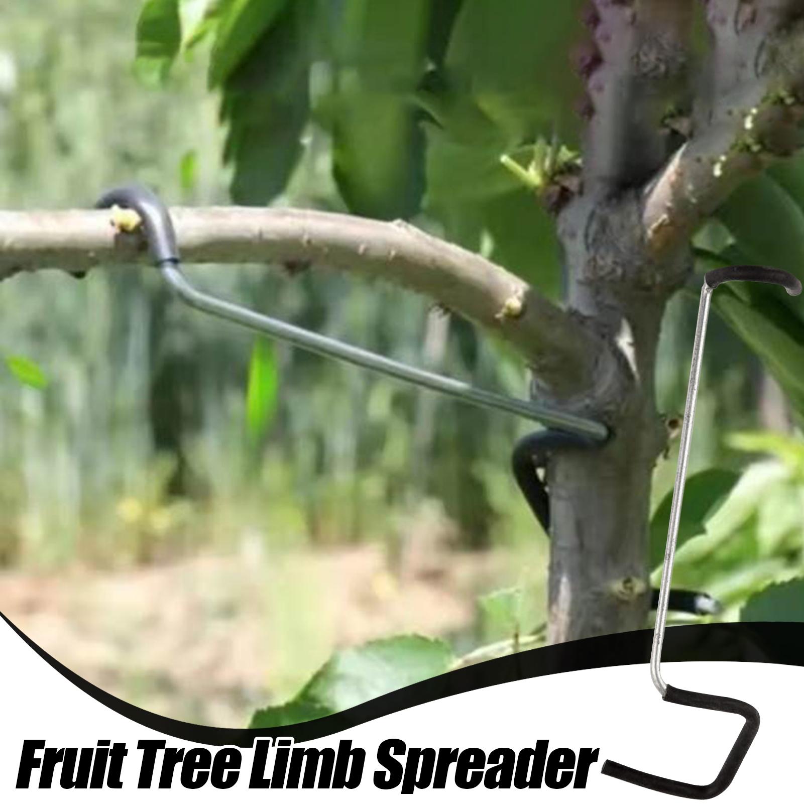 Fruit Tree Branch Spreader 10P - Gardening Tools Bundle บทวิจารณ์และราคา