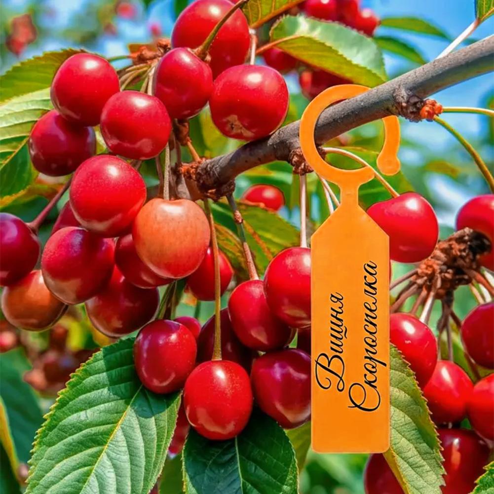 Garden Planting Tag Ring Hook  - Plant Label Tags บทวิจารณ์และราคา