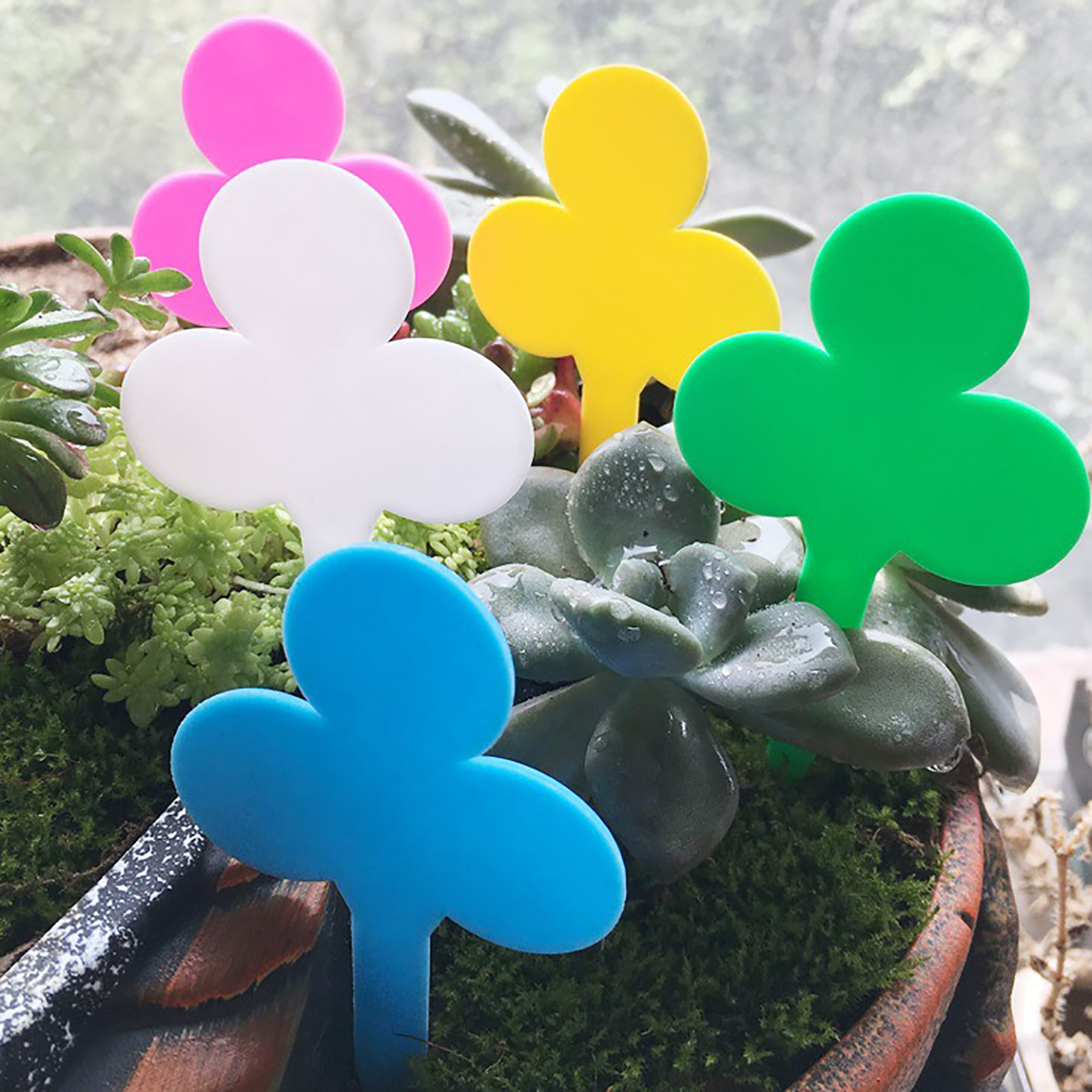 50/100Pcs Plant Labels Garden  - Plant Label Tags บทวิจารณ์และราคา