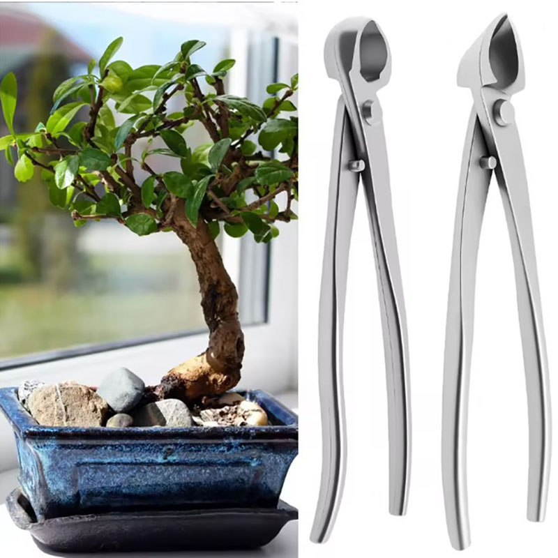 2pcs 210mm Stainless Steel Bon - Bonsai Tool Set บทวิจารณ์และราคา