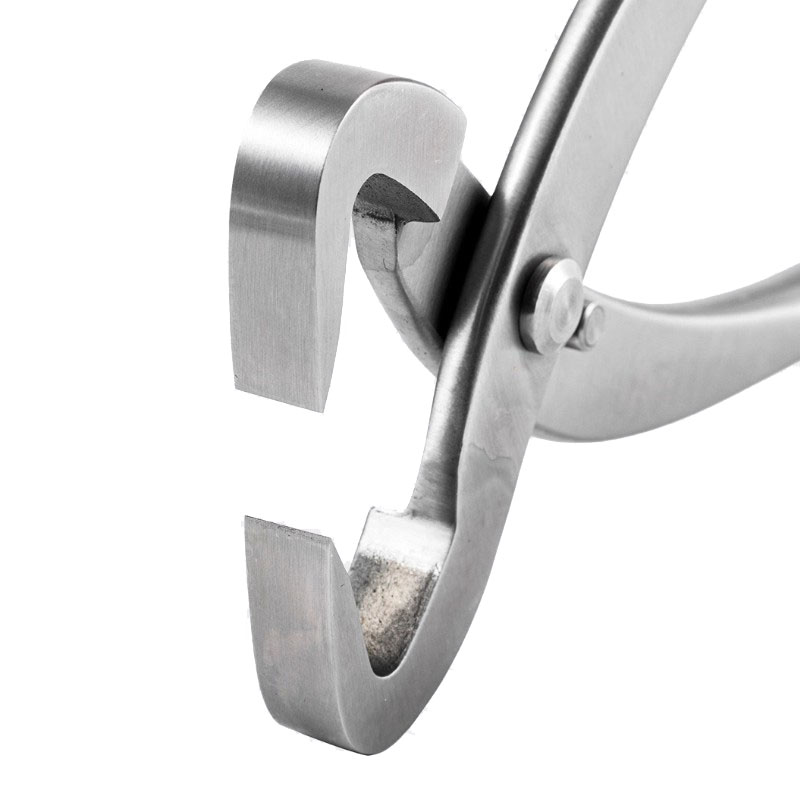 2pcs 210mm Stainless Steel Bon - Bonsai Tool Set บทวิจารณ์และราคา