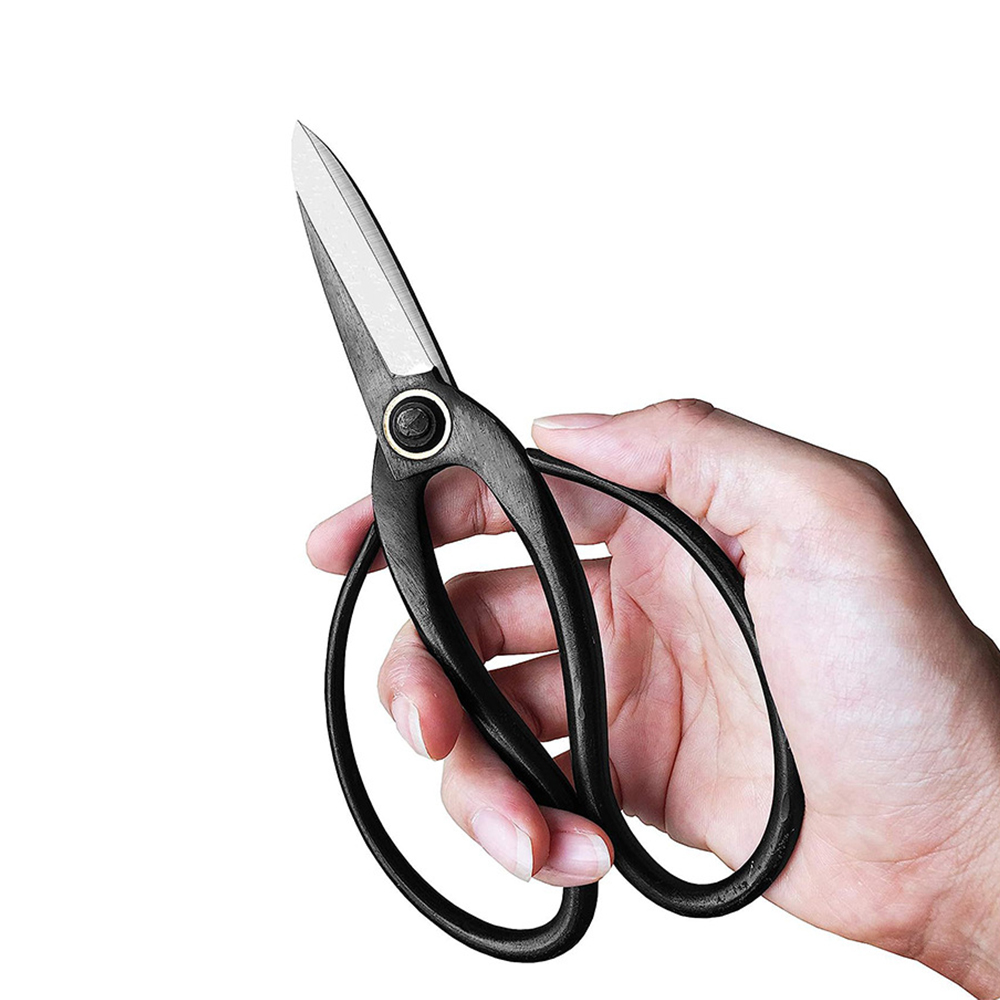 Professional Bonsai Scissors T - Bonsai Tool Set บทวิจารณ์และราคา