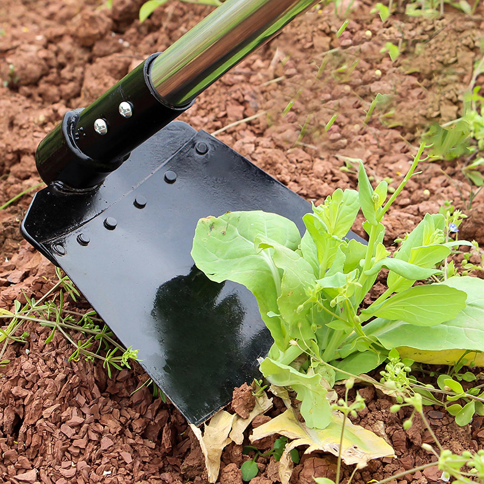 Weeding Sickle Hoe Adjustable  - Gardening Tools Long บทวิจารณ์และราคา