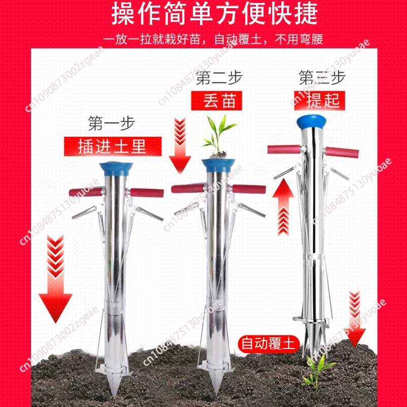 Garden Tools Seedling Transpla - Gardening Tools Youtube บทวิจารณ์และราคา