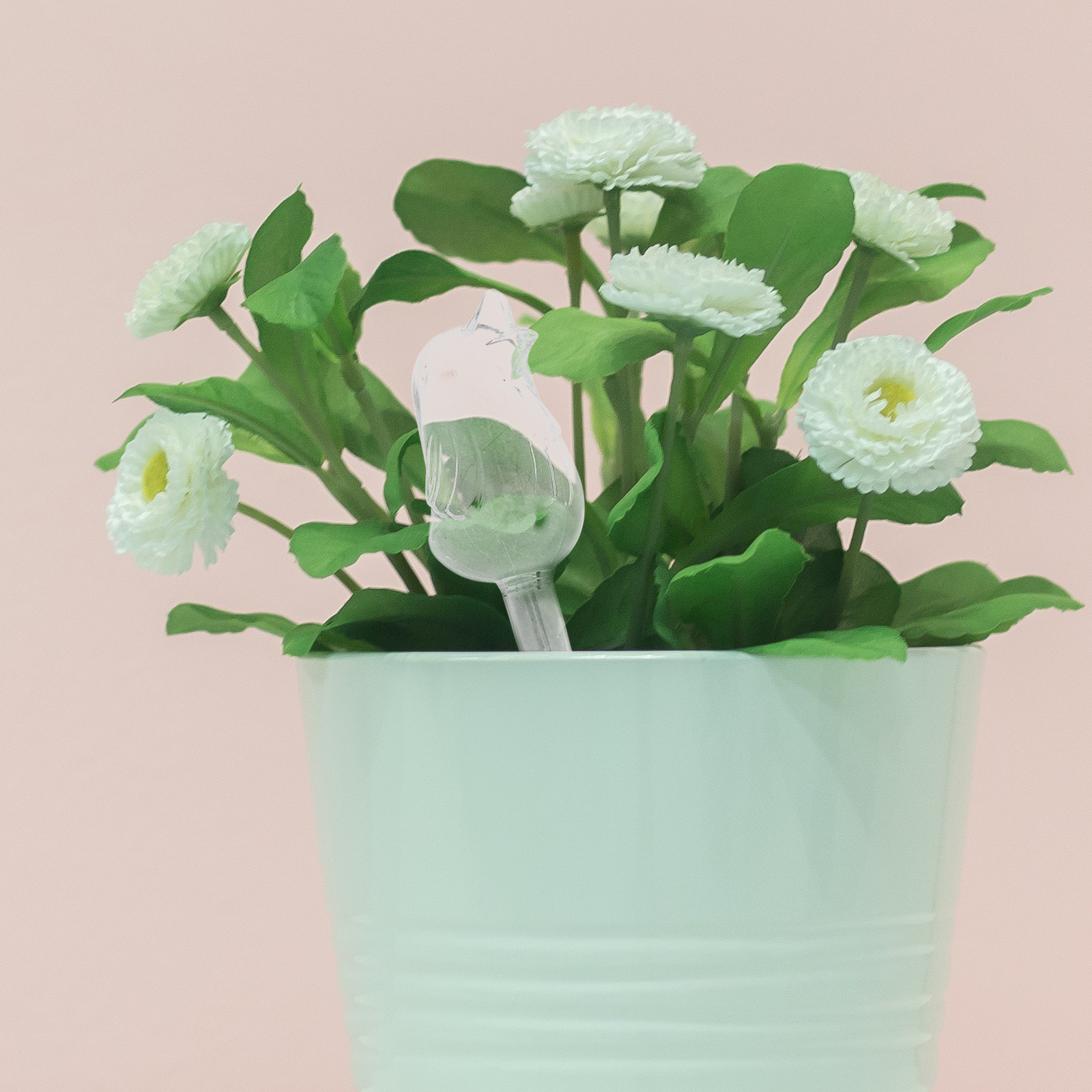Glass Self-Watering Globes Aut - Automatic Plant Waterer บทวิจารณ์และราคา