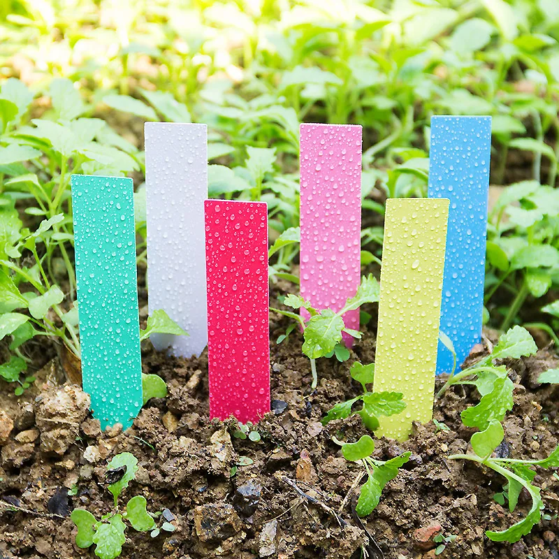 100pcs Thick 4inch Plant Label - Plant Label Tags บทวิจารณ์และราคา