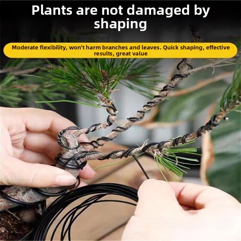 1.5MM Bonsai Wires Aluminum Bo - Gardening Tools And Accessories บทวิจารณ์และราคา