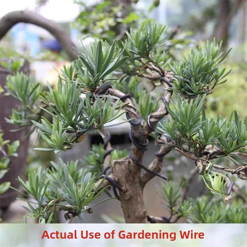 1.5MM Bonsai Wires Aluminum Bo - Gardening Tools And Accessories บทวิจารณ์และราคา