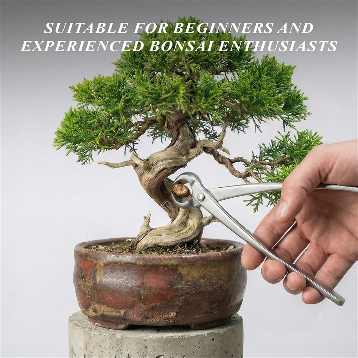 AWAH Bonsai Tools Set- High-Ca - Bonsai Tool Set บทวิจารณ์และราคา