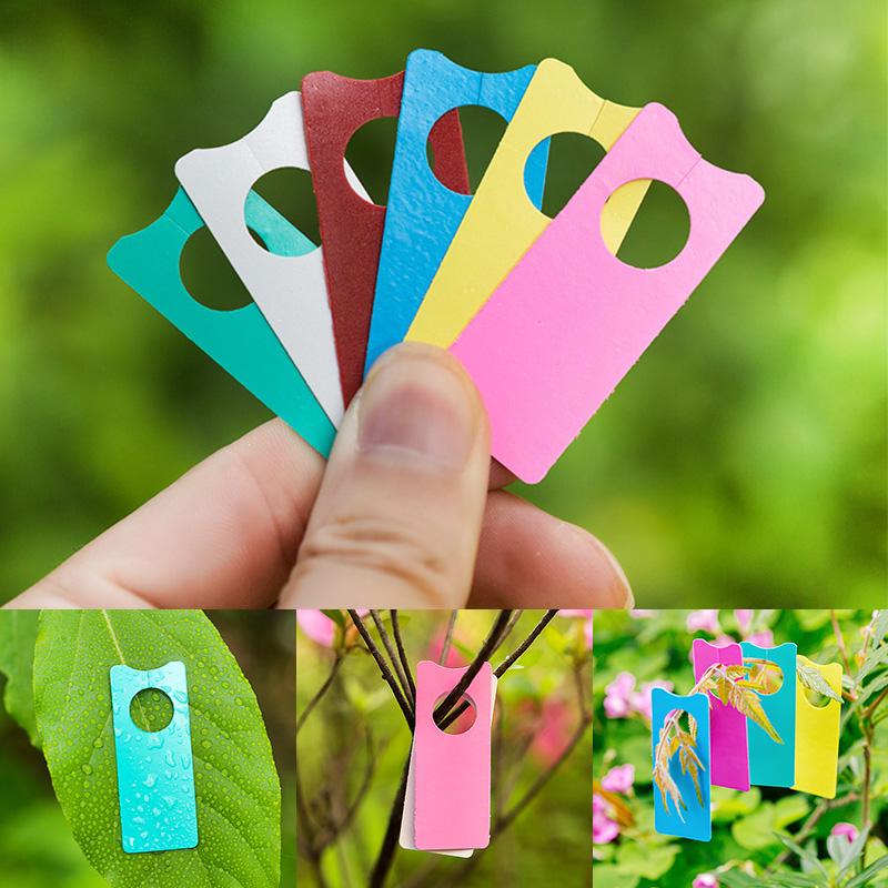 100Pcs Multifunction Plastic T - Plant Label Tags บทวิจารณ์และราคา