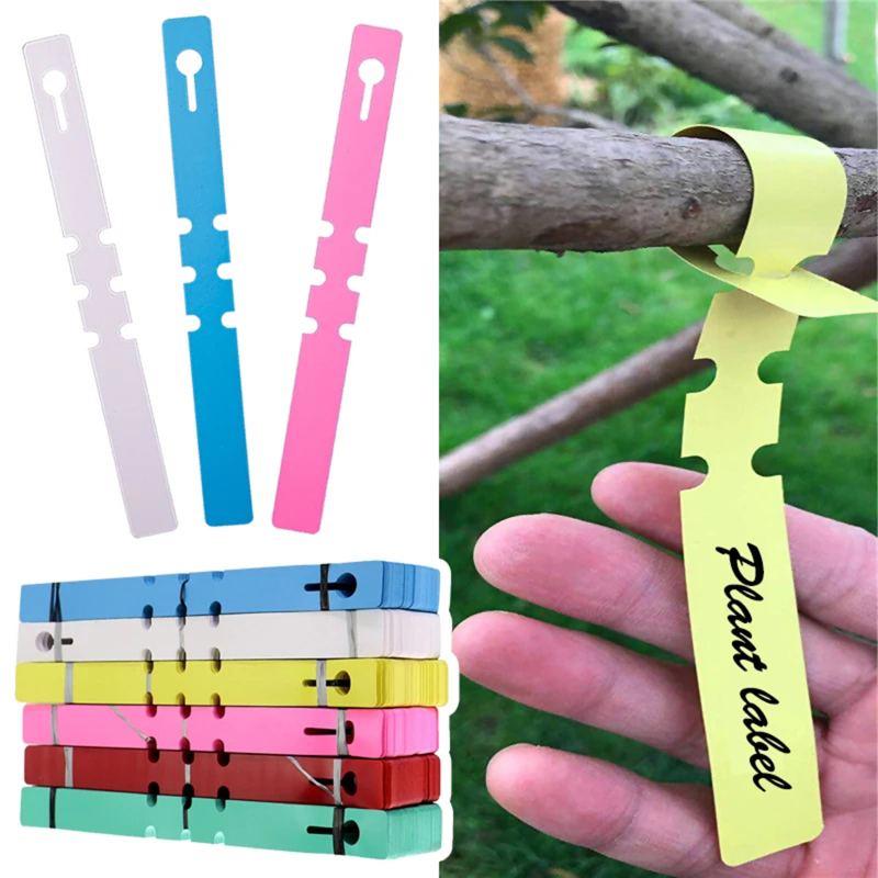 100-200pcs Waterproof Plant Ma - Plant Label Tags บทวิจารณ์และราคา