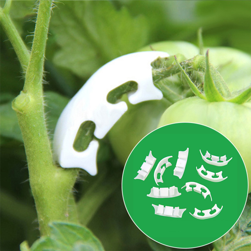 50/100pcs Botany-stem Vine Str - Gardening Tools Bundle บทวิจารณ์และราคา