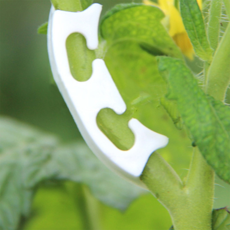 50/100pcs Botany-stem Vine Str - Gardening Tools Bundle บทวิจารณ์และราคา