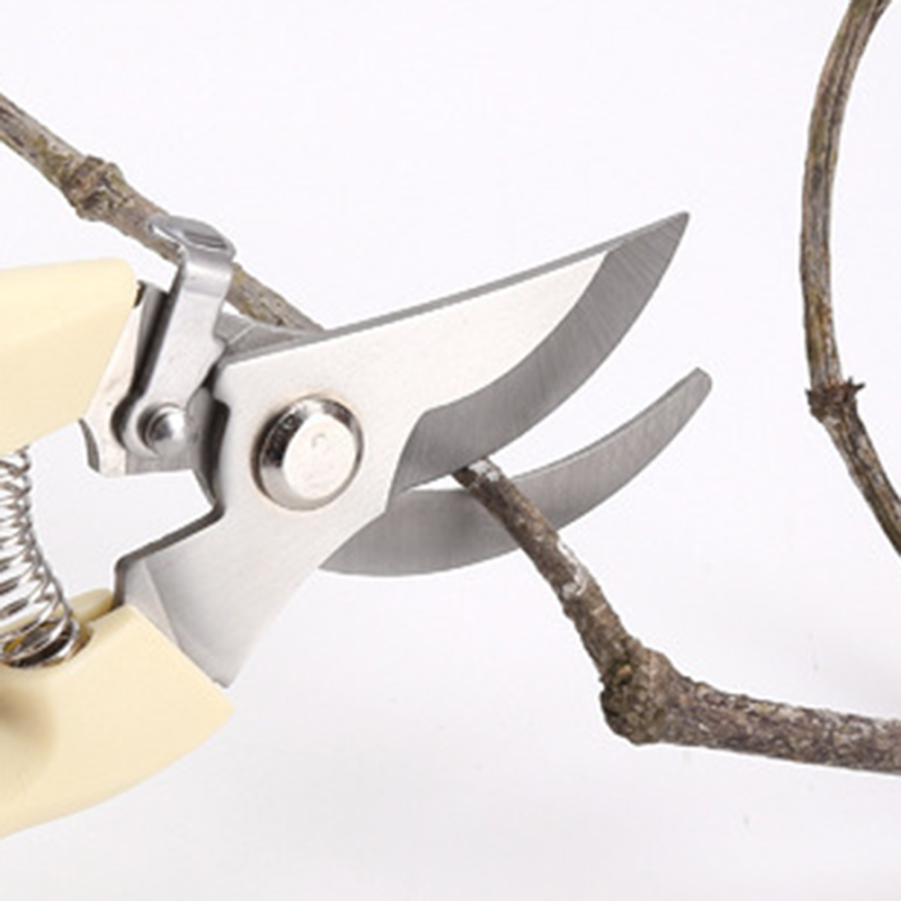 Pruner Shears Hand Tools Bonsa - Bonsai Tool Set บทวิจารณ์และราคา