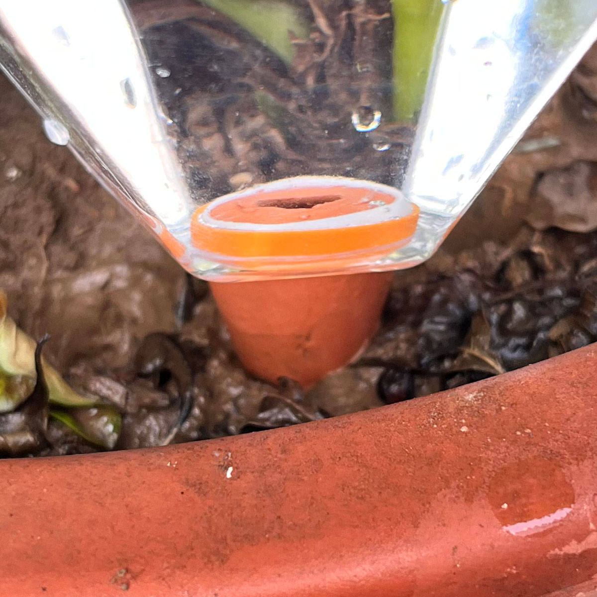 1pcs Cute Plastic Watering Mac - Automatic Plant Waterer บทวิจารณ์และราคา