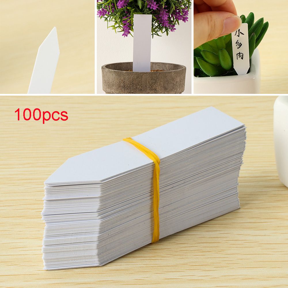 100Pcs Reusable Classification - Plant Label Tags บทวิจารณ์และราคา