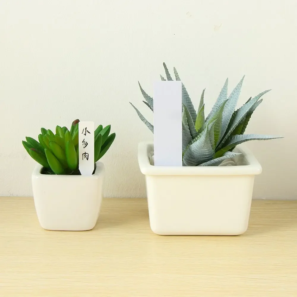 100Pcs Reusable Classification - Plant Label Tags บทวิจารณ์และราคา