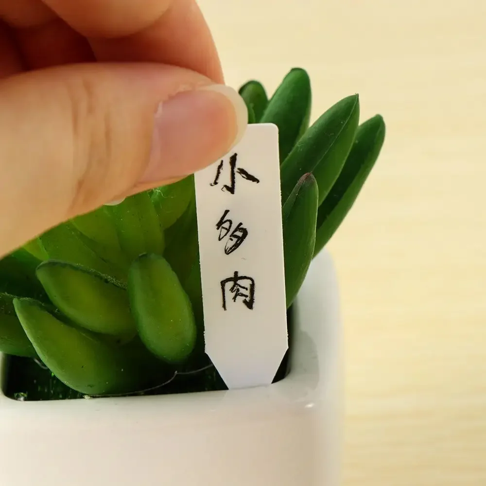 100Pcs Reusable Classification - Plant Label Tags บทวิจารณ์และราคา
