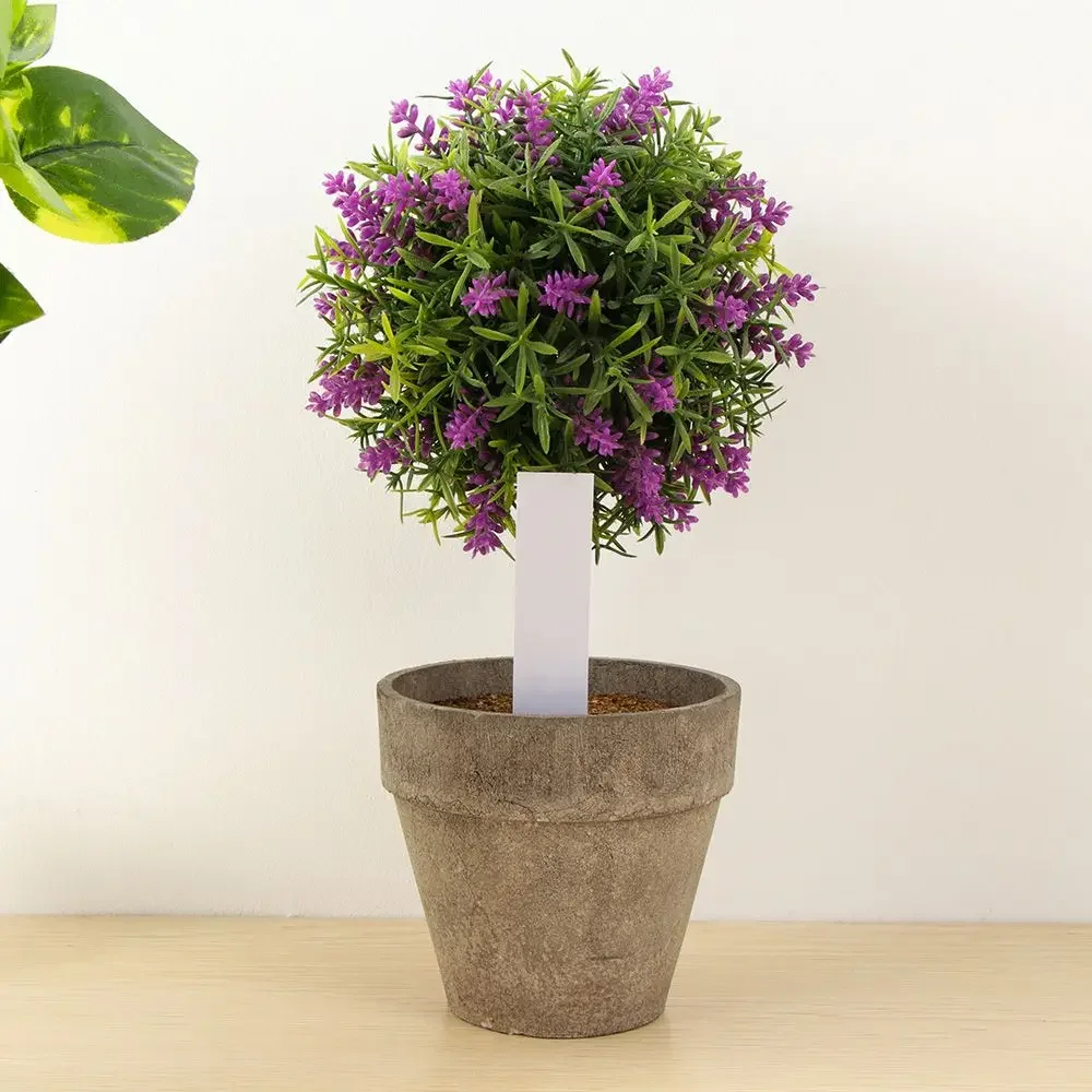 100Pcs Reusable Classification - Plant Label Tags บทวิจารณ์และราคา