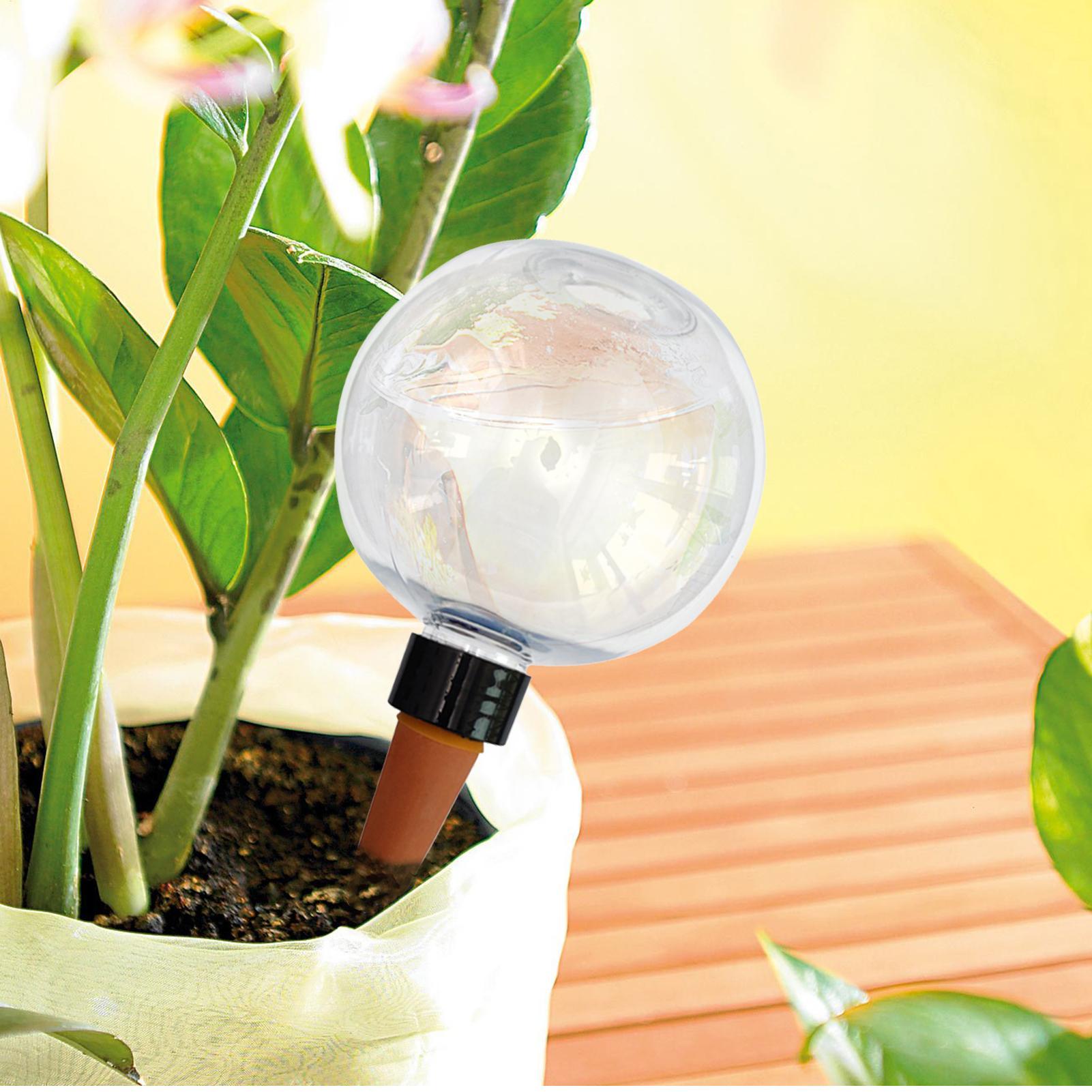 500ml Automatic Plant Watering - Automatic Plant Waterer บทวิจารณ์และราคา