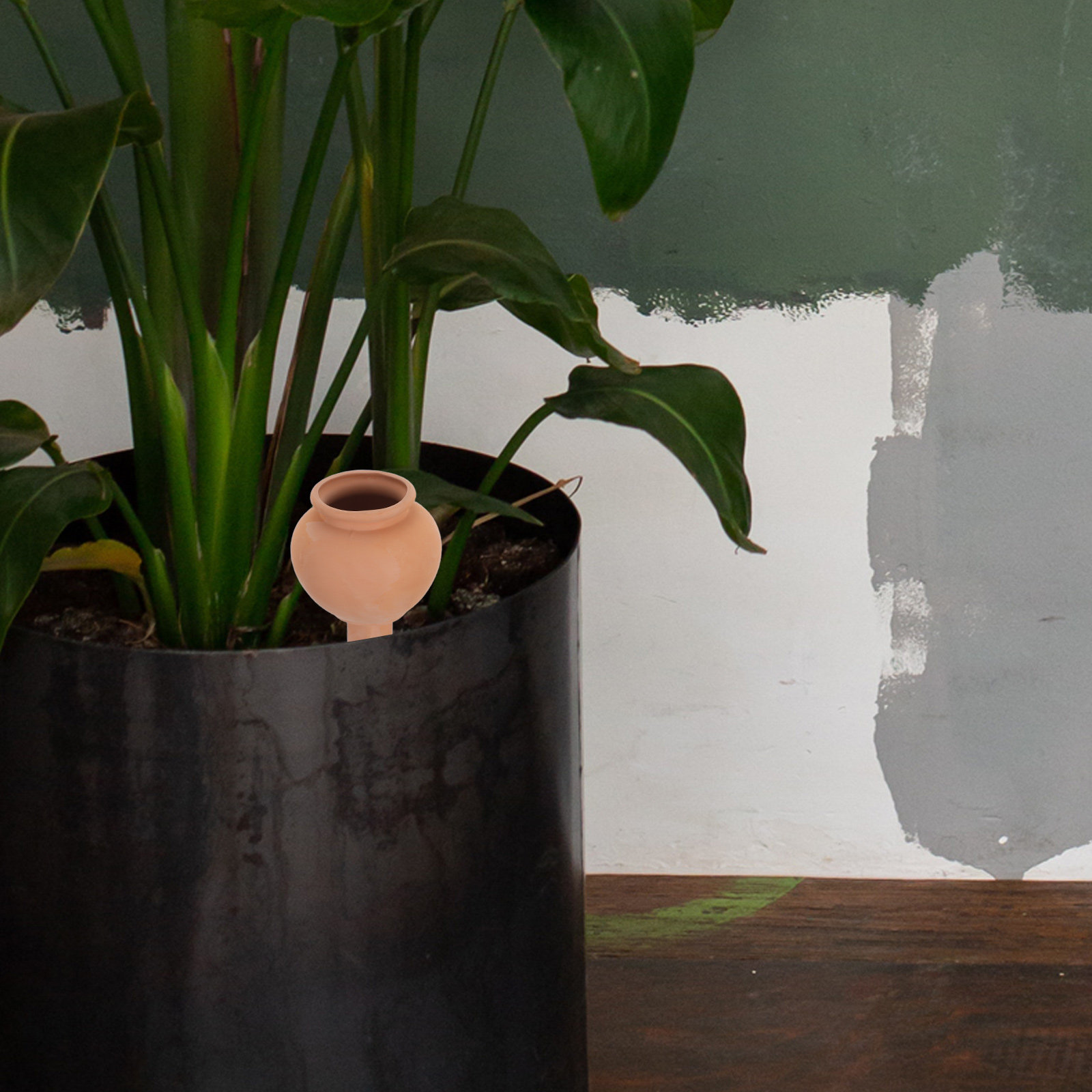 Terracotta Automatic Plant Wat - Automatic Plant Waterer บทวิจารณ์และราคา