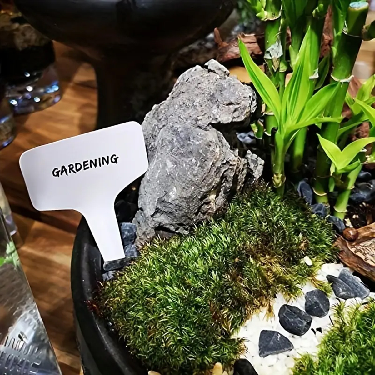100Pcs Plastic Plant Labels, 2 - Plant Label Tags บทวิจารณ์และราคา
