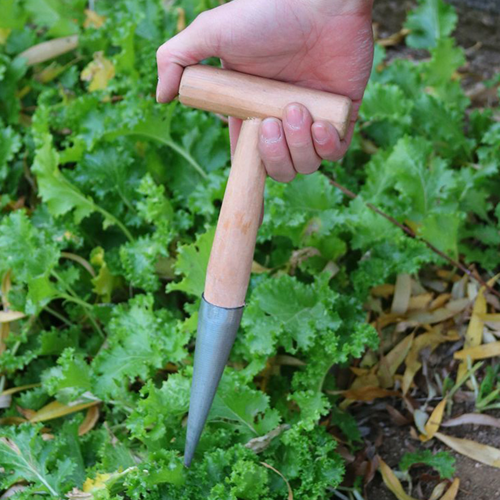 Hand Dibber Garden Tool Stainl - Gardening Tools Wooden บทวิจารณ์และราคา