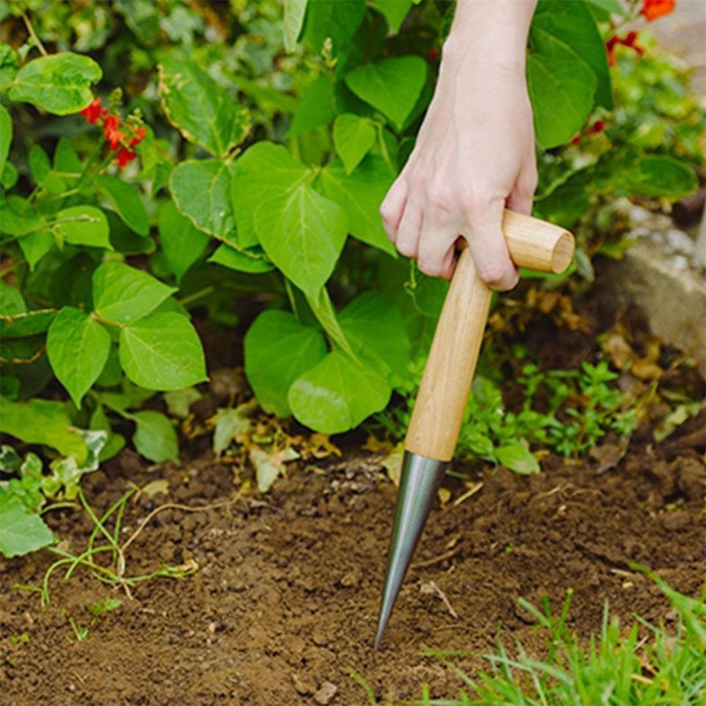 Hand Dibber Garden Tool Stainl - Gardening Tools Wooden บทวิจารณ์และราคา