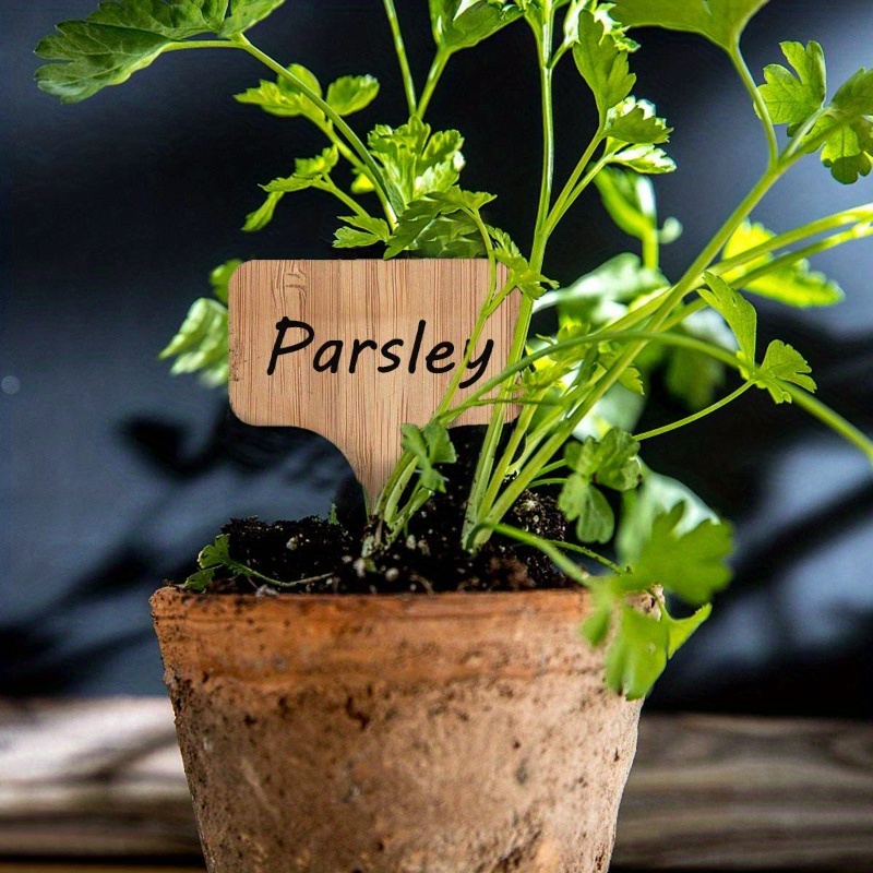 Bamboo Plant Labels, T-Type Wo - Plant Label Tags บทวิจารณ์และราคา
