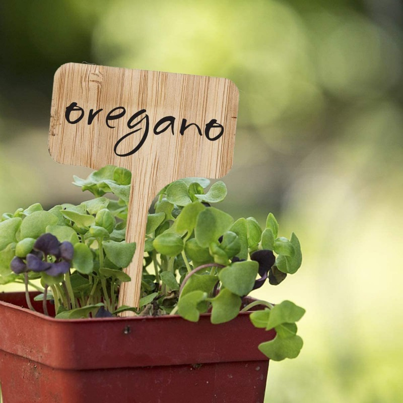 Bamboo Plant Labels, T-Type Wo - Plant Label Tags บทวิจารณ์และราคา
