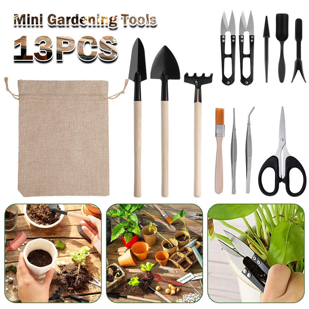 Succulent Plants Tools Mini Ga - Bonsai Tool Set บทวิจารณ์และราคา