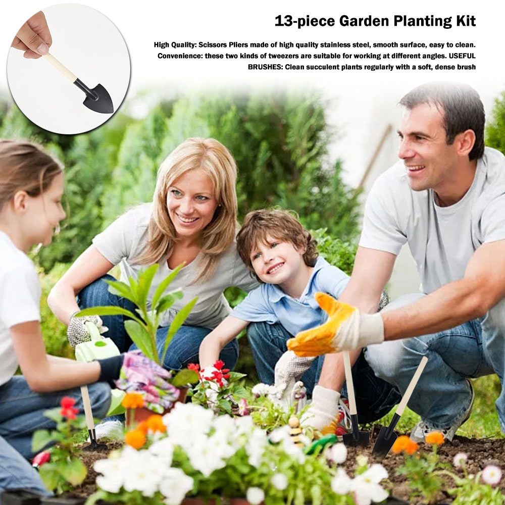 Succulent Plants Tools Mini Ga - Bonsai Tool Set บทวิจารณ์และราคา