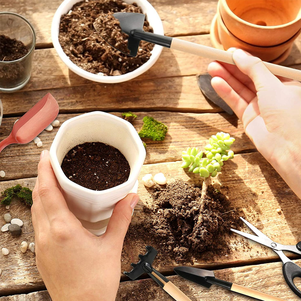 Succulent Plants Tools Mini Ga - Bonsai Tool Set บทวิจารณ์และราคา