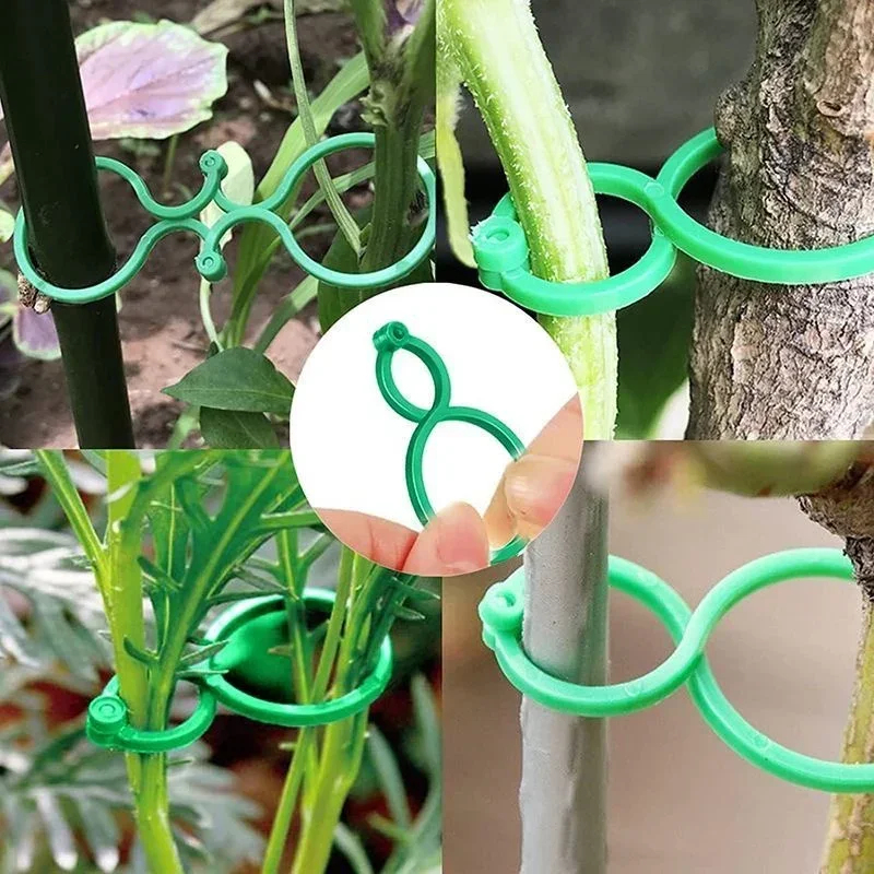 Plastic Garden Vine Strapping  - Gardening Tools Bundle บทวิจารณ์และราคา
