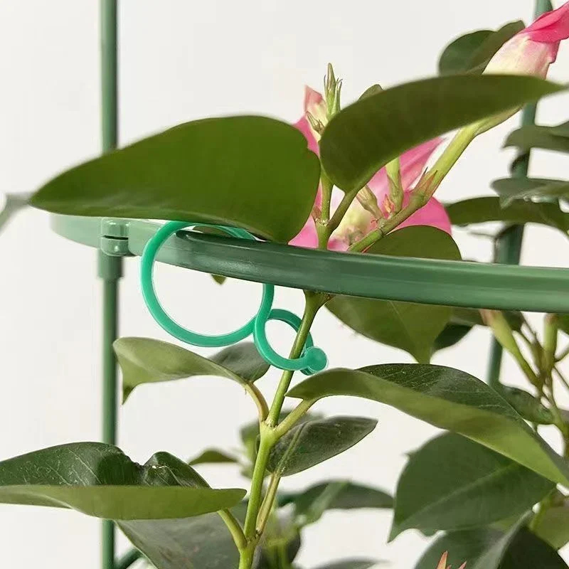Plastic Garden Vine Strapping  - Gardening Tools Bundle บทวิจารณ์และราคา