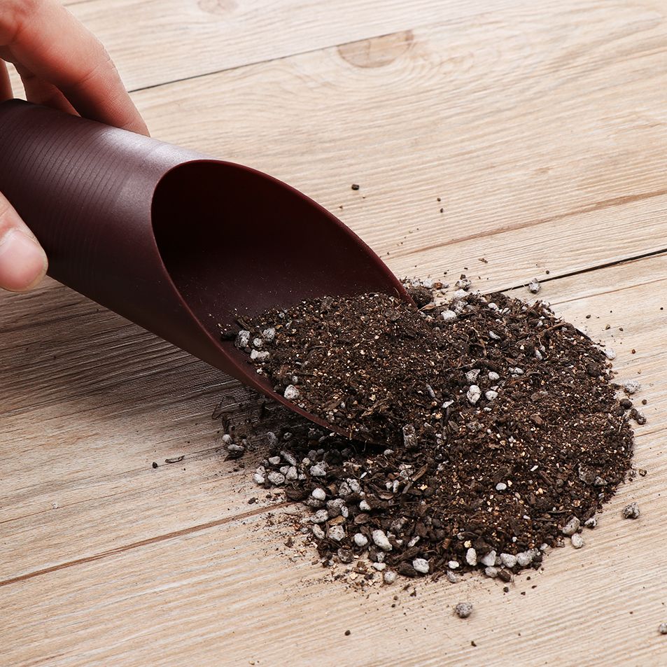 1PC Plastic Soil Shovel Cup Fo - Gardening Tools Gifts บทวิจารณ์และราคา