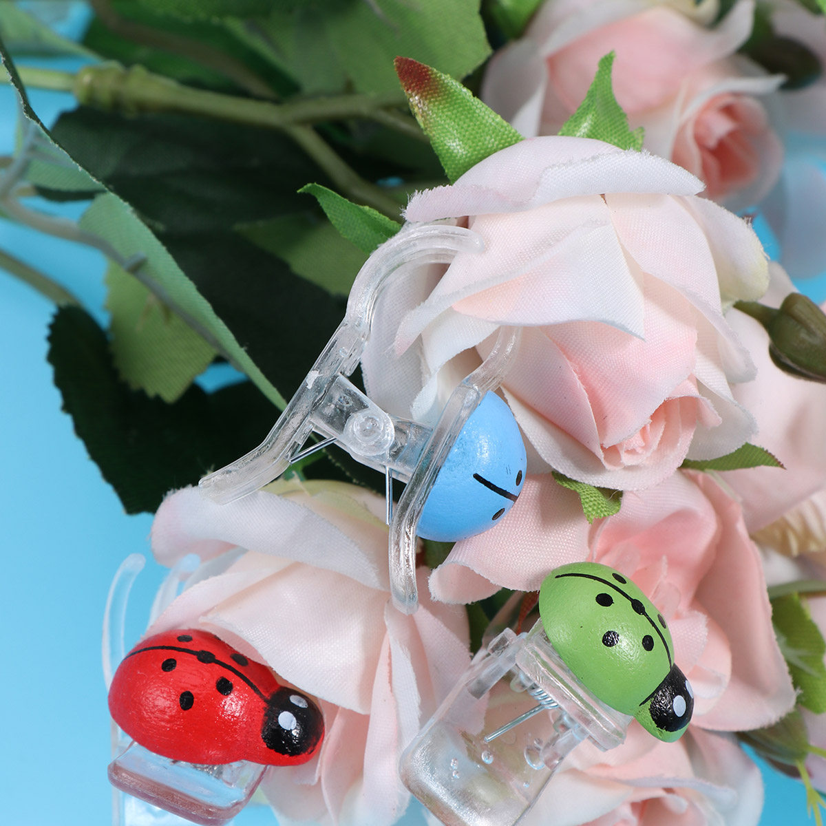 30Pcs Orchid Clips 6 Colors Mu - Gardening Tools Gifts บทวิจารณ์และราคา